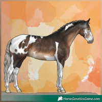 Horse Color:Gray Silver Brown Sabino Tobiano Blanket Rabicano 