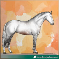 Horse Color:Gray White Spotted Silver Brown Varnish 