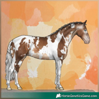 Horse Color:Gray White Spotted Silver Sable Champagne Tobiano 