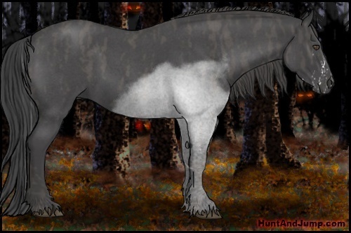 Horse Color:Smoky Blue Roan Splash Brindle