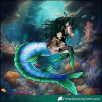 Horse Color:Void Painted White Spotted Brown Onyx Rabicano