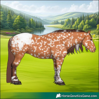 Horse Color:Chocolate Bay Tobiano Snowcap 
