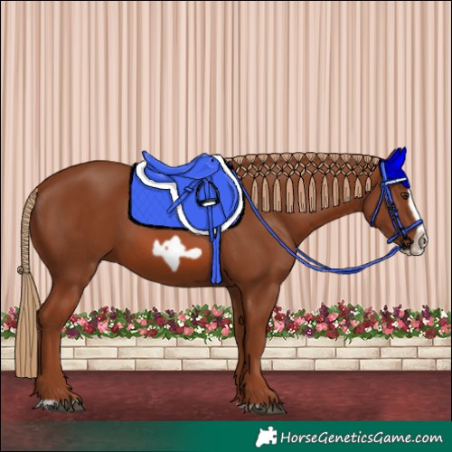 Horse Color:Chestnut Splash Frame