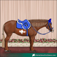 Horse Color:Chestnut Splash Frame
