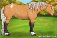 Horse Color:Silver Buckskin Roan Appaloosa Rabicano