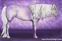Horse Color:Cremello Splash Brindle