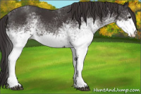 Horse Color:White Spotted Smoky Black 