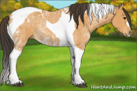 Horse Color:Buckskin Ice Tobiano Rabicano 