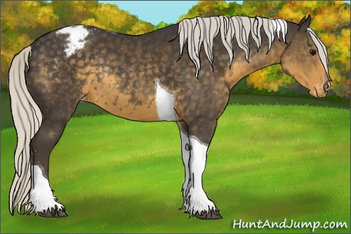 Horse Color:Silver Smoky Black Tobiano Appaloosa Rabicano 