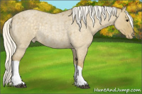 Horse Color:Silver Smoky Grullo Roan Appaloosa Rabicano 