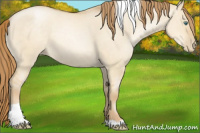 Horse Color:Smoky Grullo Pearl Tobiano Rabicano 