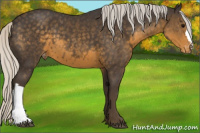 Horse Color:Silver Smoky Black Appaloosa 