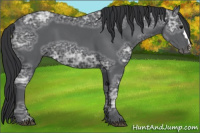 Horse Color:Black Ice 
