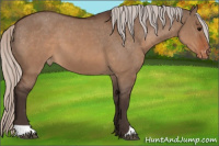 Horse Color:Silver Brown Dun Varnish 