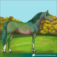 Horse Color:Watercolor Brown Tobiano 