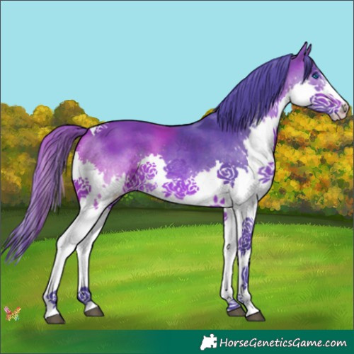 Horse Color:Watercolor Bay Splash Tobiano 