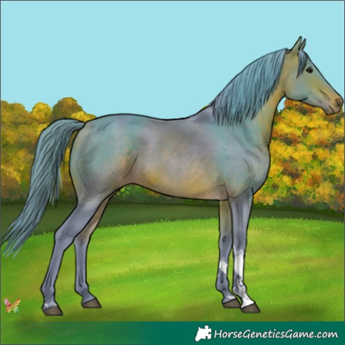 Horse Color:Watercolor Bay Tobiano 