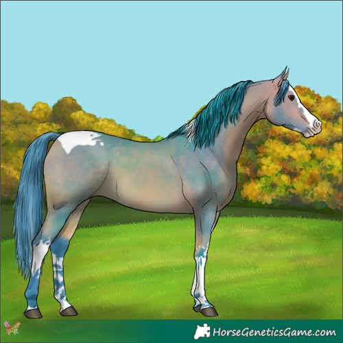 Horse Color:Watercolor Buckskin Splash Tobiano 