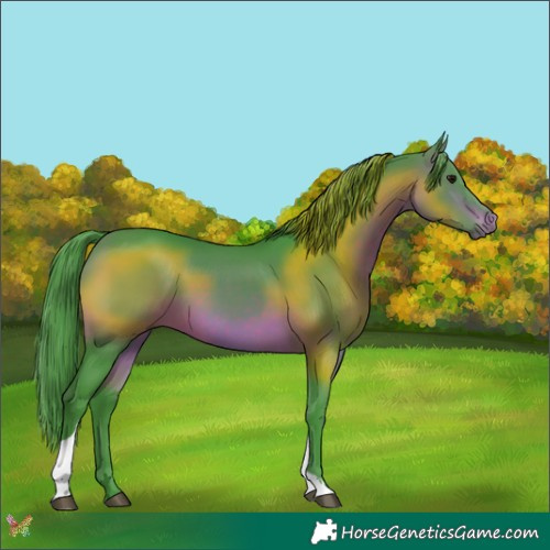 Horse Color:Watercolor Brown Tobiano