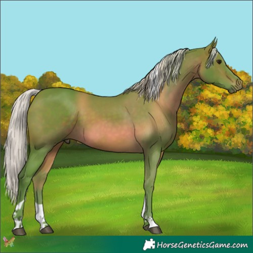 Horse Color:Watercolor Silver Brown Tobiano 