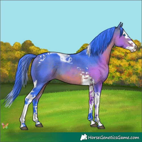 Horse Color:Watercolor Bay Splash Tobiano 