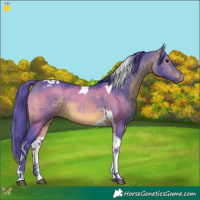 Horse Color:Watercolor Brown Tobiano 