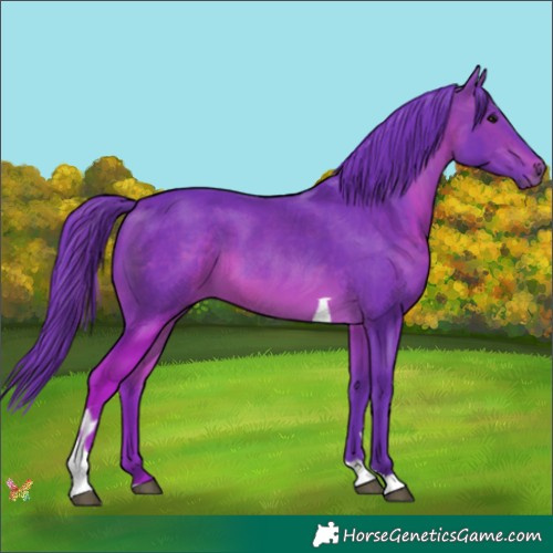 Horse Color:Watercolor Brown Tobiano 