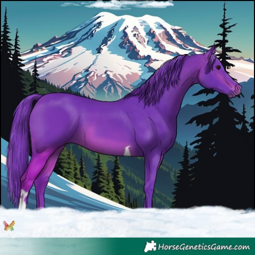 Horse Color:Watercolor Brown Tobiano 