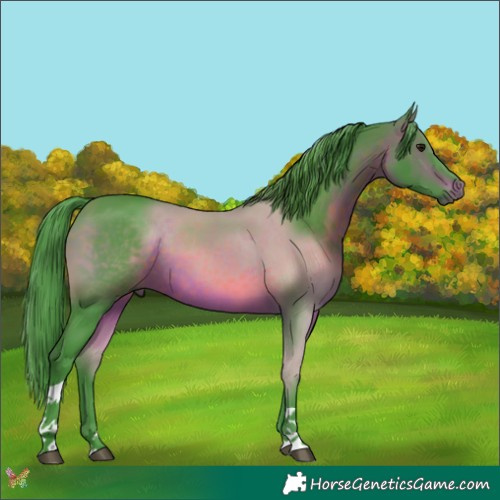 Horse Color:Watercolor Brown Tobiano 