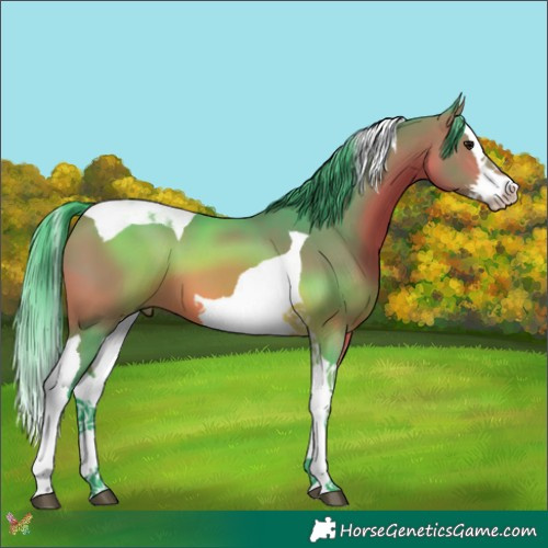 Horse Color:Watercolor Bay Splash Tobiano 