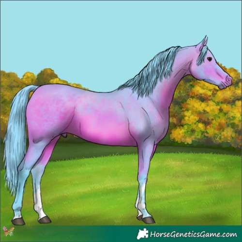 Horse Color:Watercolor Bay Tobiano 