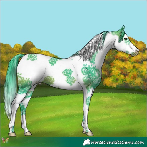Horse Color:Watercolor Brown Splash Tobiano Frame 