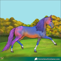 Horse Color:Watercolor Bay Tobiano 