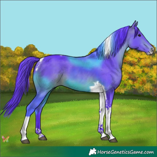Horse Color:Watercolor Brown Tobiano Frame 