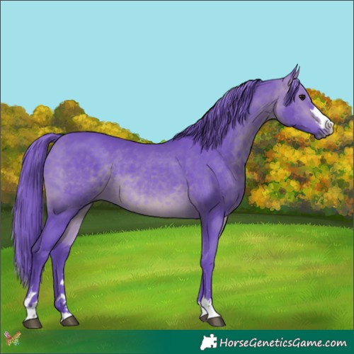 Horse Color:Watercolor Bay 