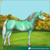 Horse Color:Watercolor White Spotted Chocolate Palomino Tobiano 