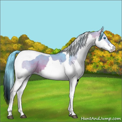 Horse Color:Watercolor Bay Splash Tobiano 