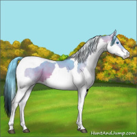 Horse Color:Watercolor Bay Splash Tobiano 