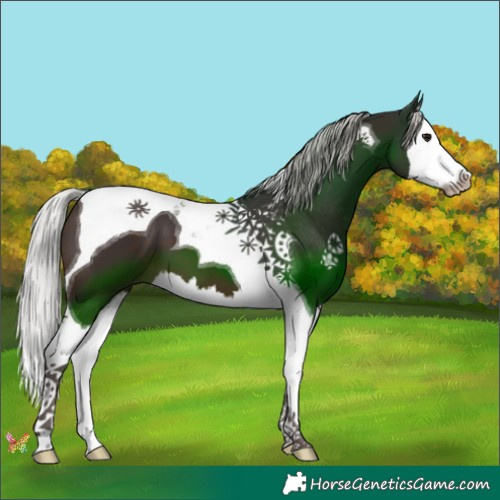 Horse Color:Silver Brown Splash Tobiano