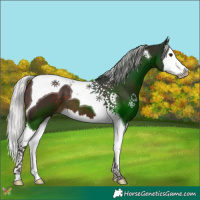 Horse Color:Silver Brown Splash Tobiano 