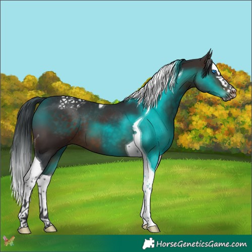 Horse Color:Brown Splash Tobiano 