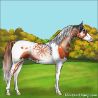 Horse Color:Brown Onyx Splash Tobiano 