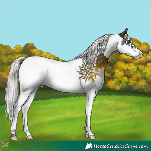 Horse Color:Silver Brown Splash Tobiano 