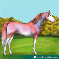 Horse Color:Watercolor Liver Red Onyx Splash 