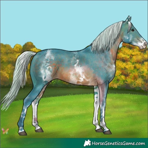 Horse Color:Watercolor White Spotted Silver Brown