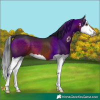 Horse Color:Brown Splash