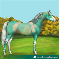 Horse Color:Watercolor Silver Brown Splash 