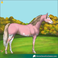 Horse Color:Watercolor Liver Chestnut Splash 