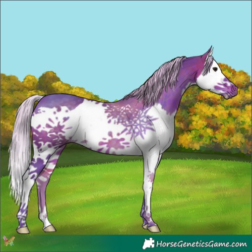 Horse Color:Watercolor Silver Brown Splash 
