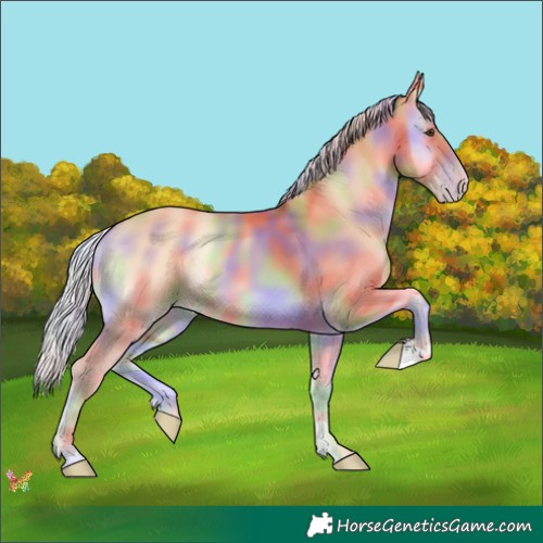 Horse Color:Nacre Silver Amber Champagne Onyx 